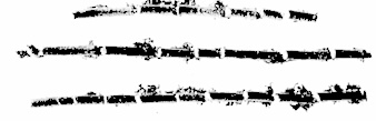 AMP_4653.jpg