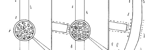 AMP_4699.jpg