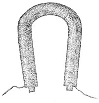 AMP_3672.jpg