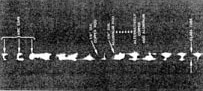 AMP_4654.jpg