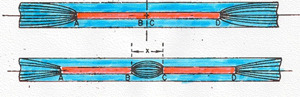 AMP_4652.jpg
