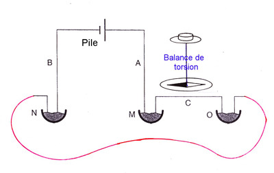 AMP_4730.jpg