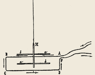 AMP_4661.jpg