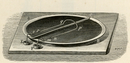 AMP_4615.jpg