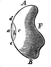 fig02.jpg
