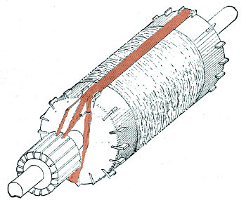 AMP_3204.jpg