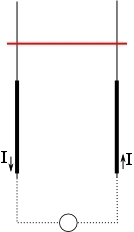 AMP_4656.jpg