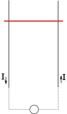 AMP_4655.jpg