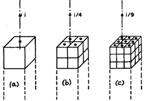 AMP_4651.jpg