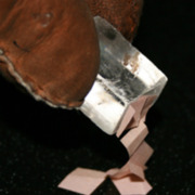 AMP_4667.jpg
