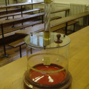 vig-forti.jpg