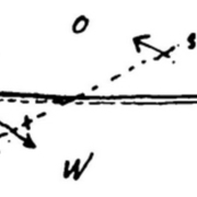 AMP_4628.jpg