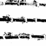 AMP_4653.jpg