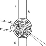AMP_4699.jpg