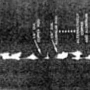 AMP_4654.jpg