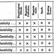 AMP_2157.jpg