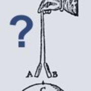 headclou.jpg