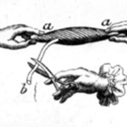Swam3.jpg
