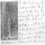 AMP_2154.jpg